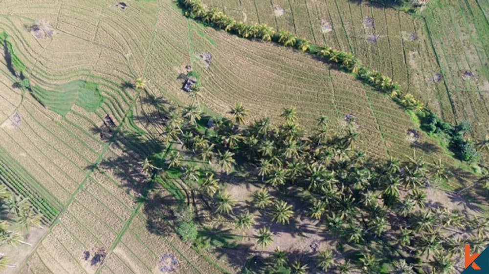 5815 m² Land Plot for Sale Tabanan, Bali, Tabanan — photo 3