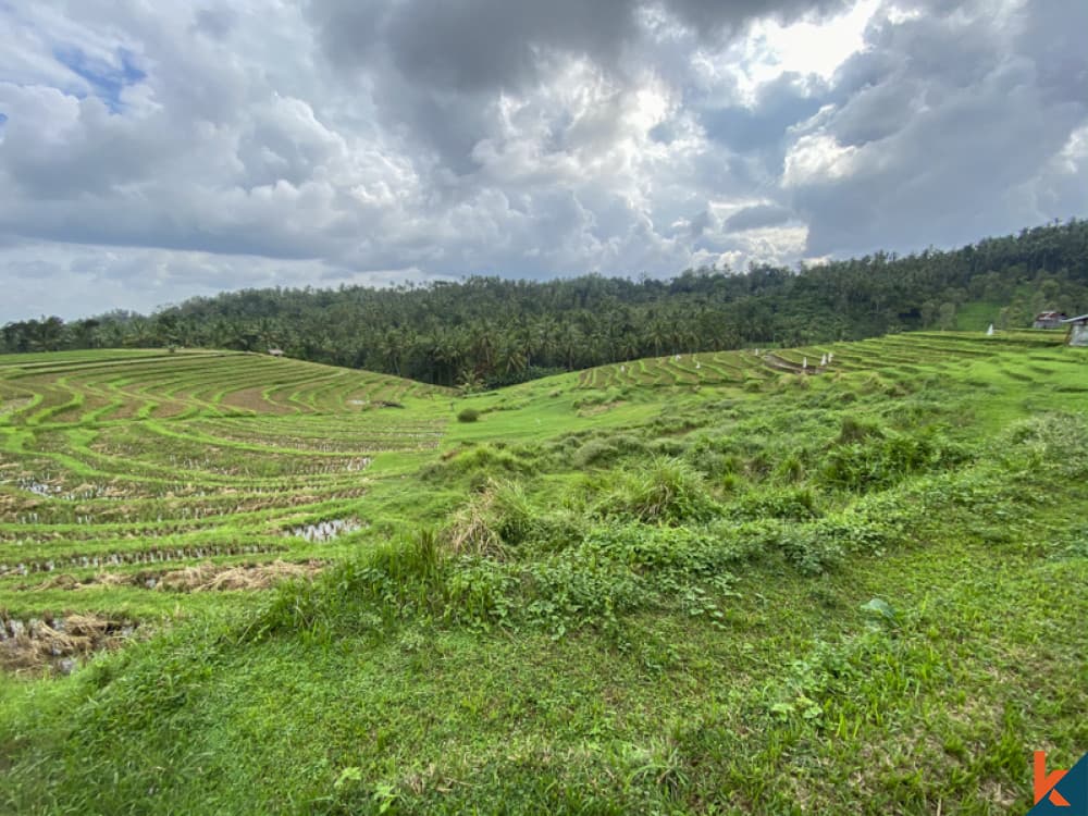 6000 m² Land Plot for Sale Tabanan, Bali, Tabanan