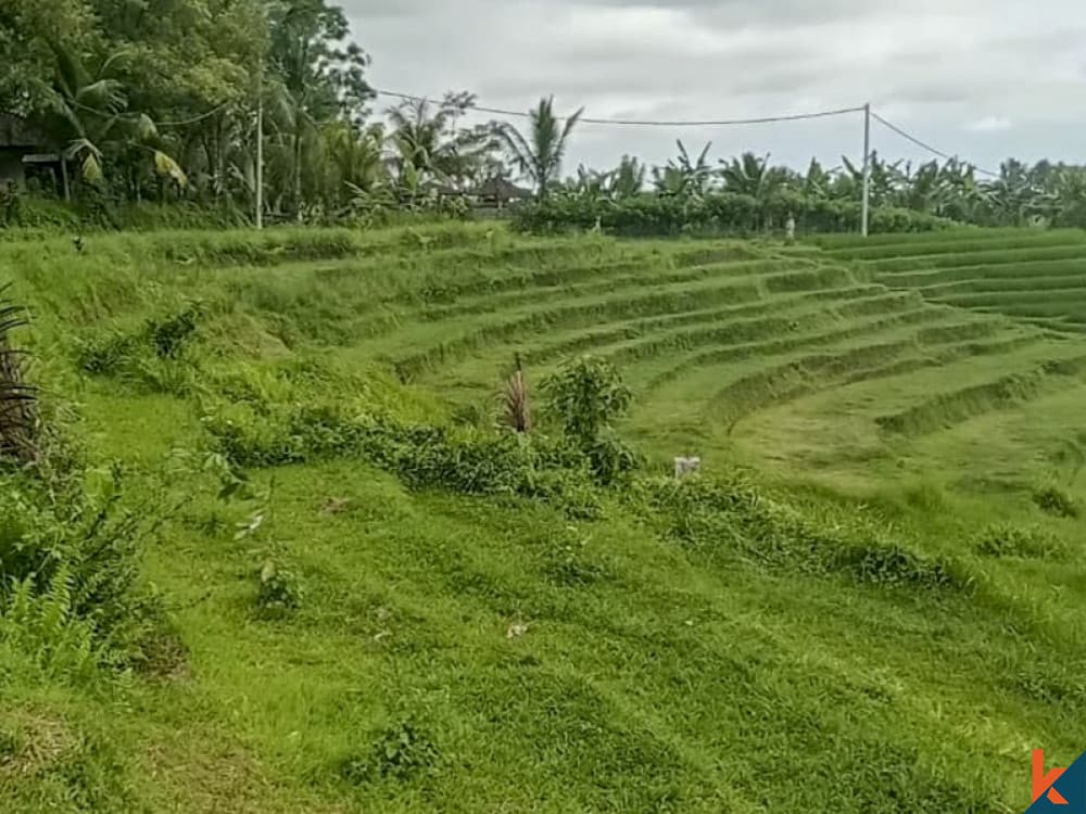6000 m² Land Plot for Sale Tabanan, Bali, Tabanan — photo 3