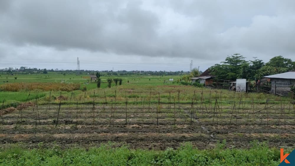3100 m² Land Plot for Sale Tabanan, Bali, Tabanan — photo 3