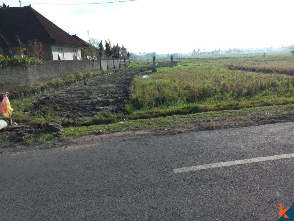 1950 m² Land Plot for Sale Tabanan, Bali, Tabanan — photo 2
