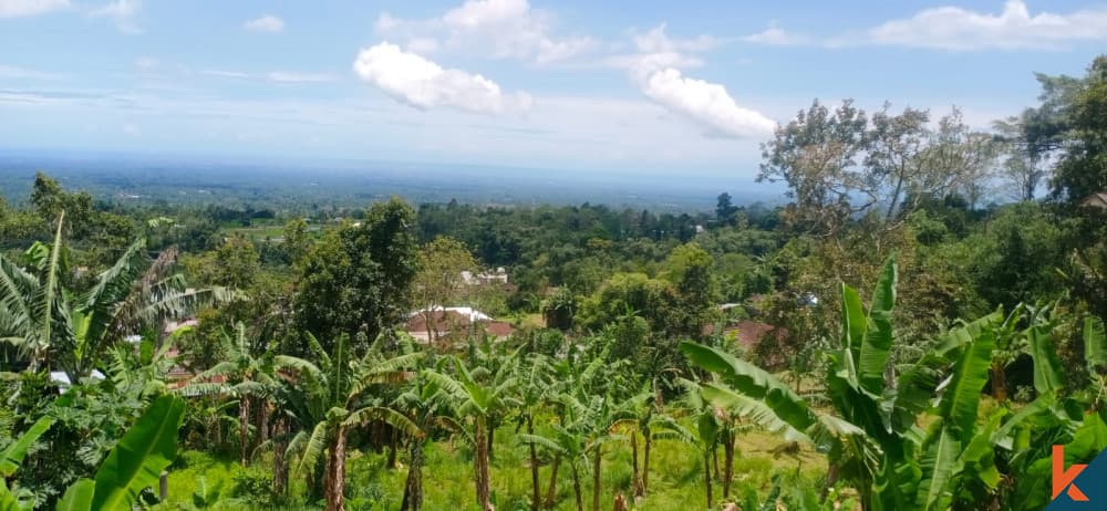 7250 m² Land Plot for Sale Tabanan, Bali, Tabanan — photo 3