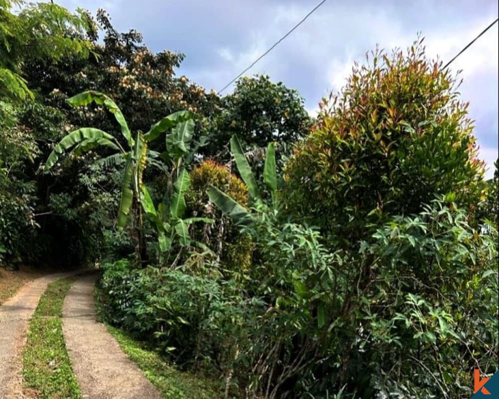 10000 m² Land Plot for Sale Buleleng, Bali, Buleleng
