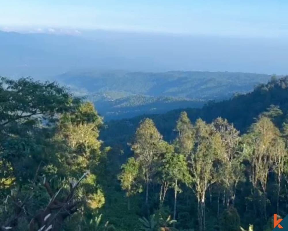 10000 m² Land Plot for Sale Buleleng, Bali, Buleleng — photo 3