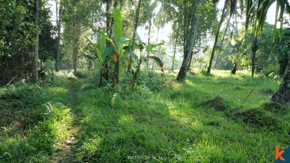 7900 m² Land Plot for Sale Tabanan, Bali, Tabanan — photo 3