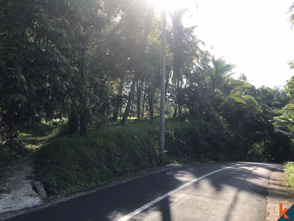 7900 m² Land Plot for Sale Tabanan, Bali, Tabanan