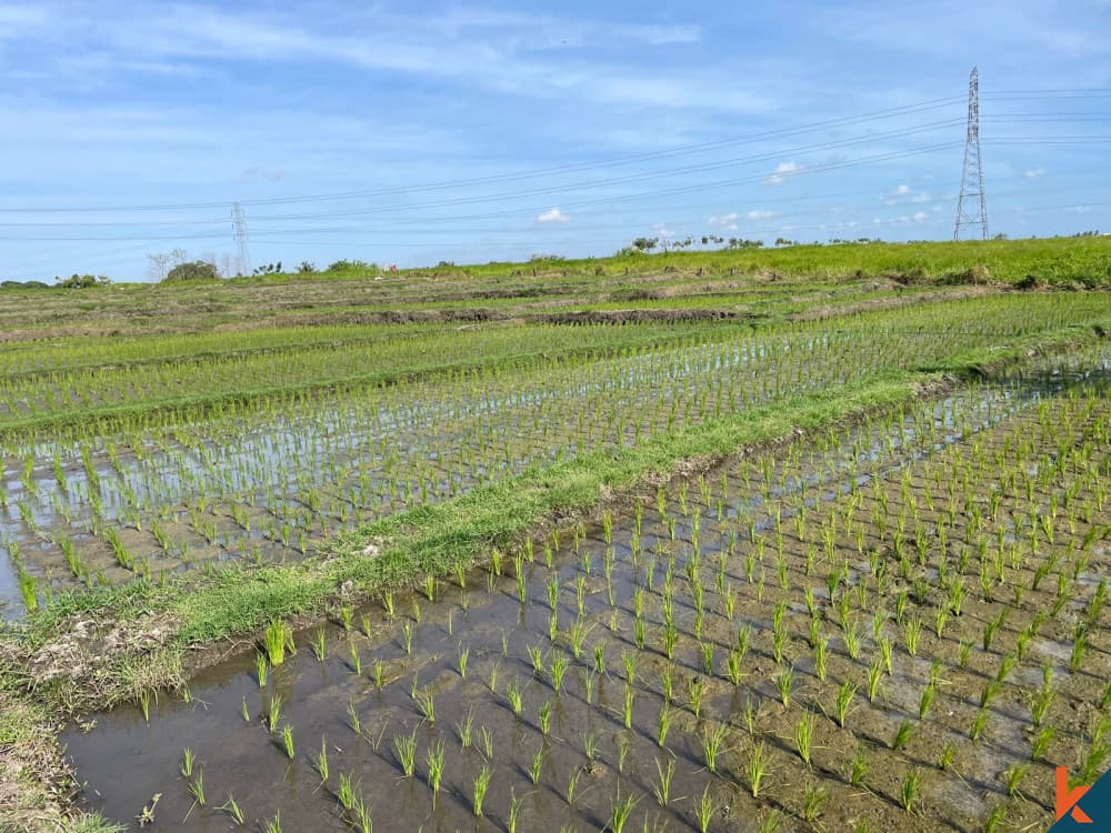 2850 m² Land Plot for Sale Tabanan, Bali, Tabanan — photo 3