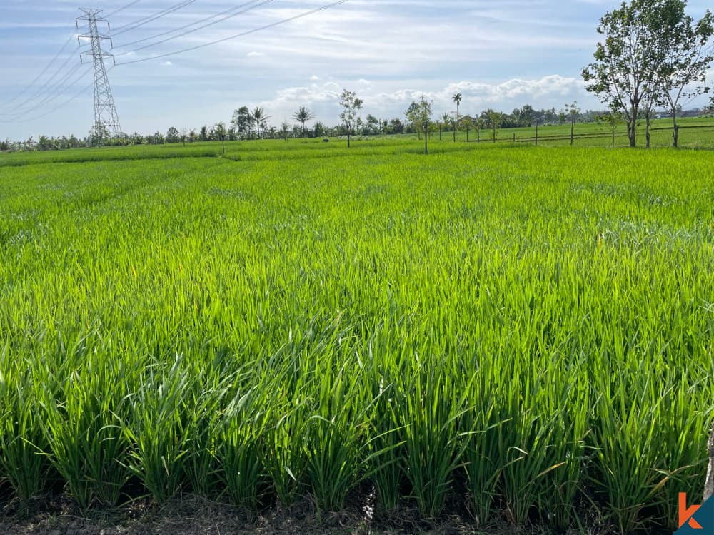 2800 m² Land Plot for Sale Tabanan, Bali, Tabanan — photo 2