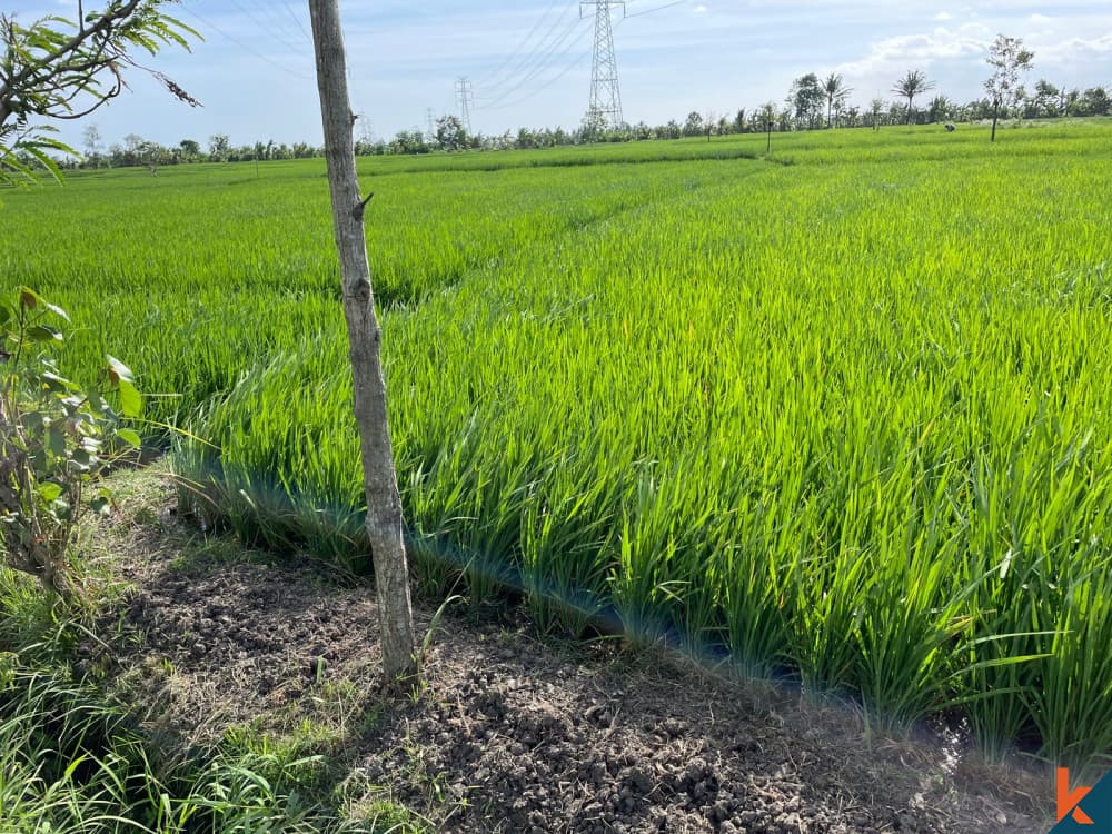 2800 m² Land Plot for Sale Tabanan, Bali, Tabanan