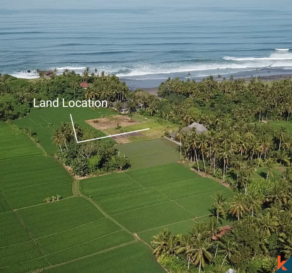3000 m² Land Plot for Sale Tabanan, Bali, Tabanan — photo 3