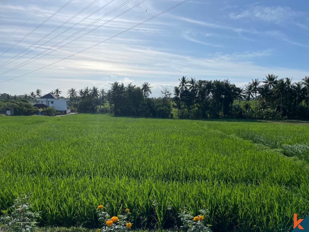 3900 m² Land Plot for Sale Tabanan, Bali, Tabanan — photo 2