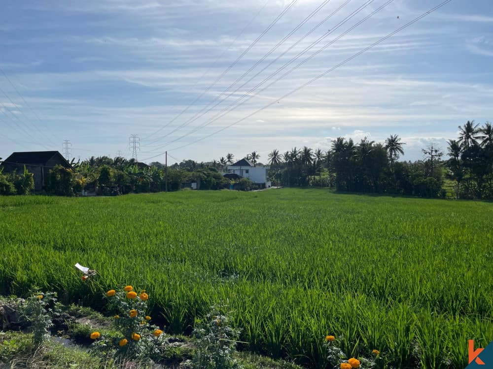 3900 m² Land Plot for Sale Tabanan, Bali, Tabanan