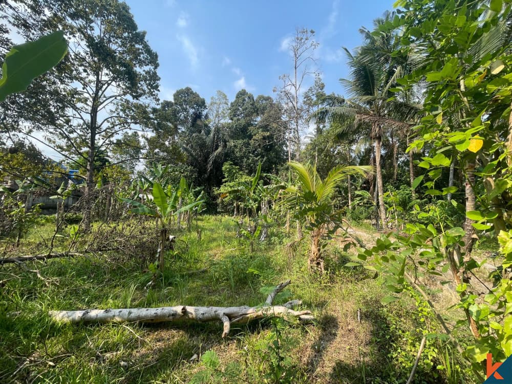 700 m² Land Plot for Sale Central Bali, Bali, Central Bali