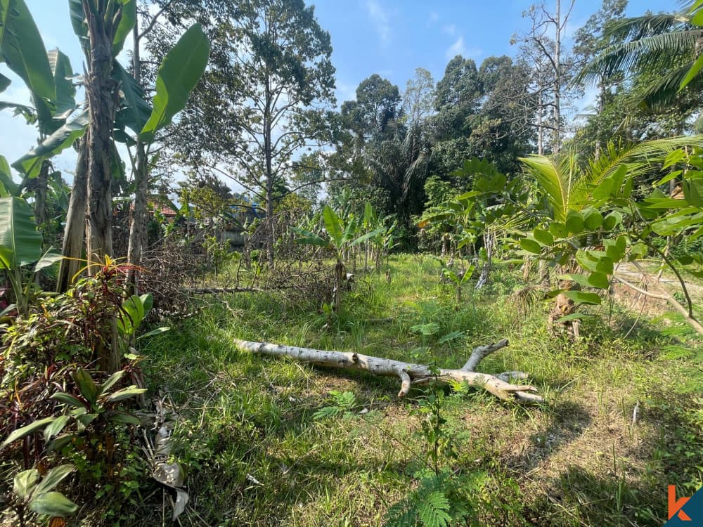 700 m² Land Plot for Sale Central Bali, Bali, Central Bali — photo 3