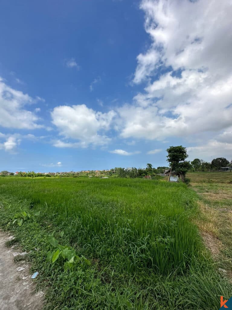 1375 m² Land Plot for Sale Canggu, Bali, Canggu — photo 3
