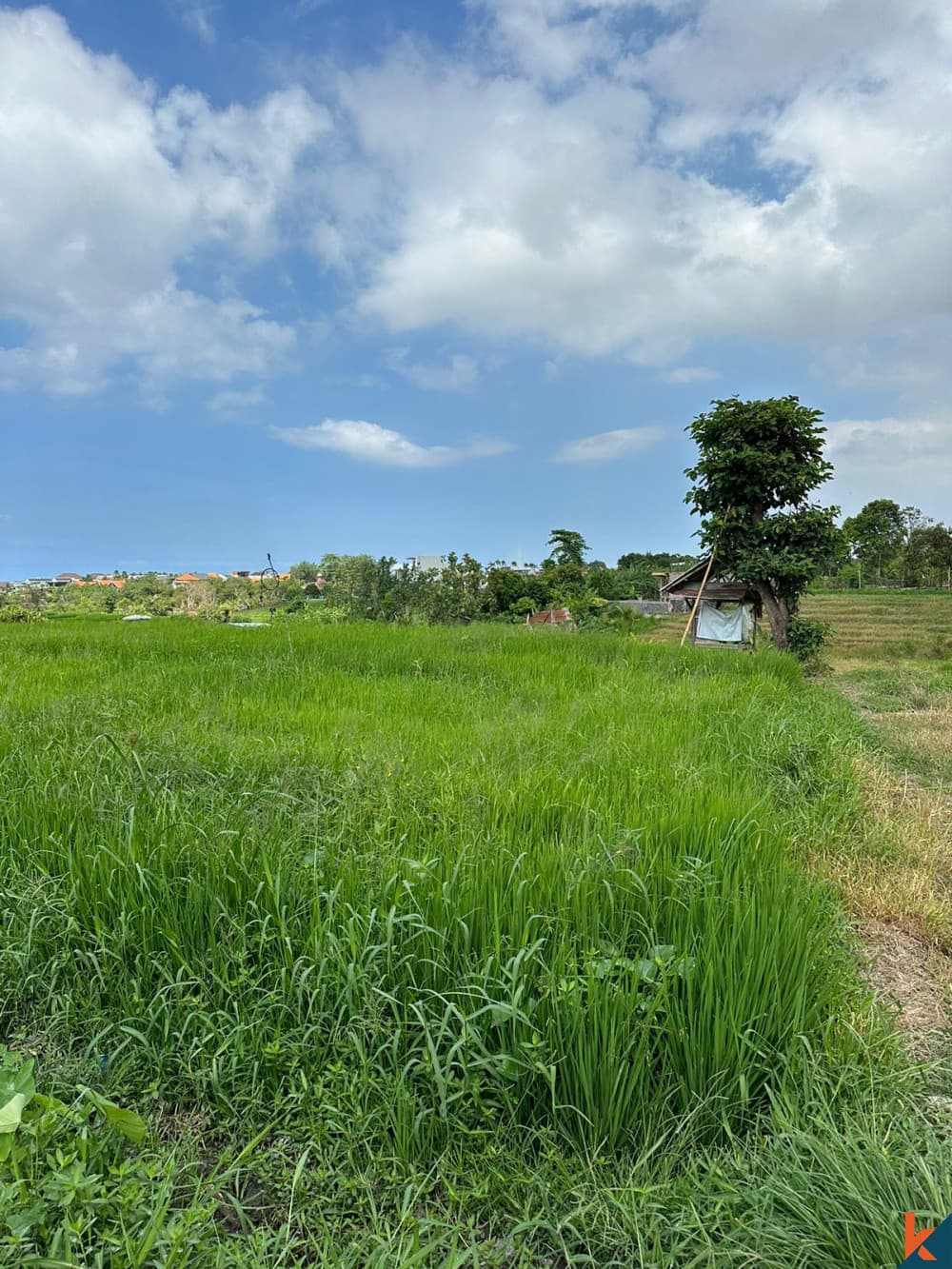 1375 m² Land Plot for Sale Canggu, Bali, Canggu