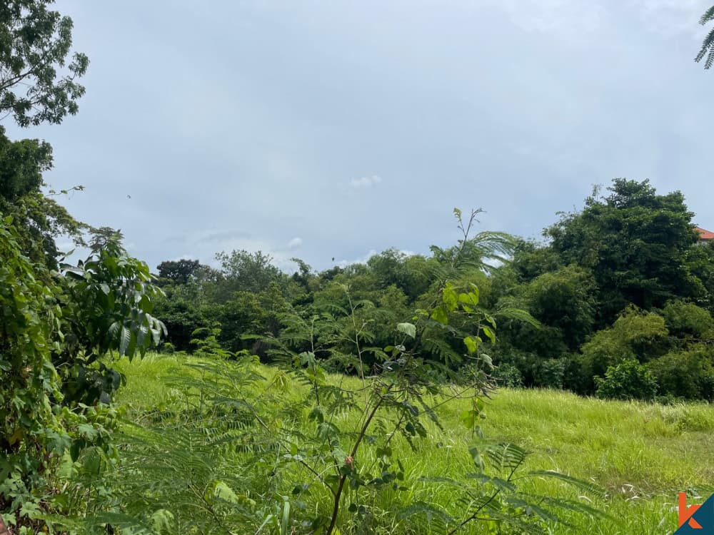 2115 m² Land Plot for Sale Pererenan, Bali, Pererenan — photo 3