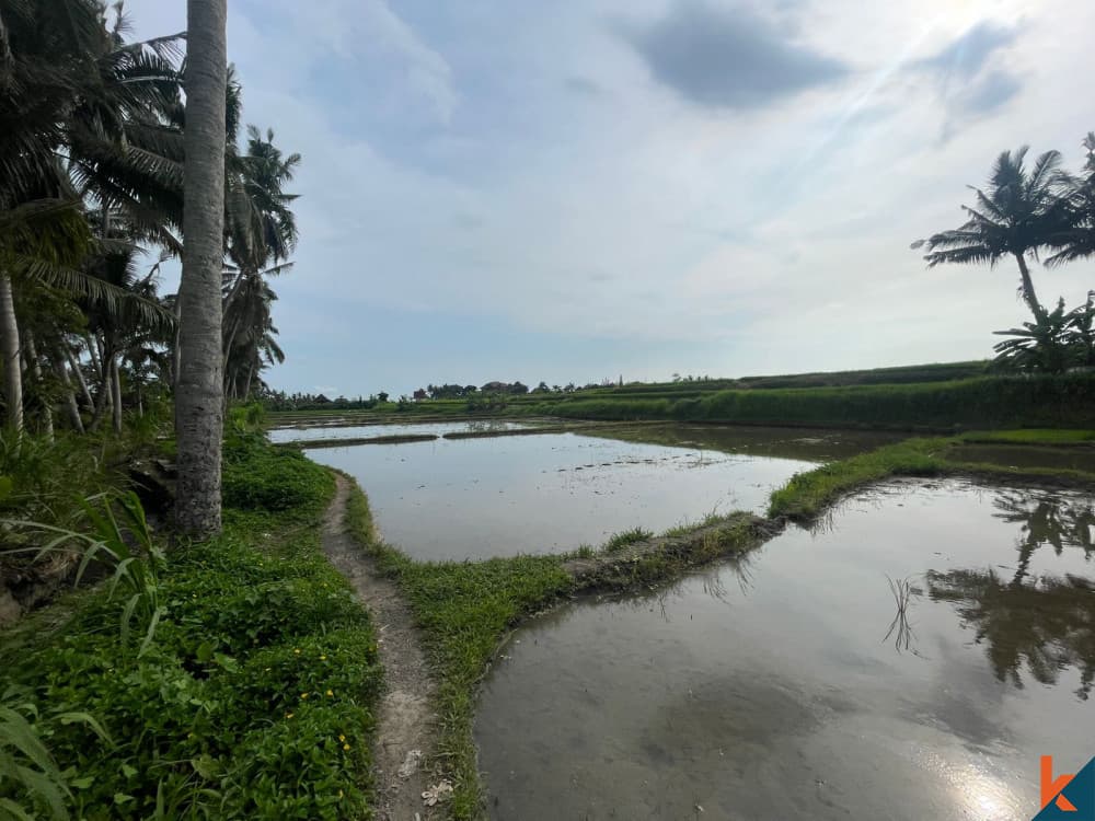 4270 m² Land Plot for Sale Ubud, Bali, Ubud