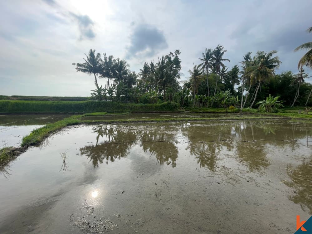 4270 m² Land Plot for Sale Ubud, Bali, Ubud — photo 3
