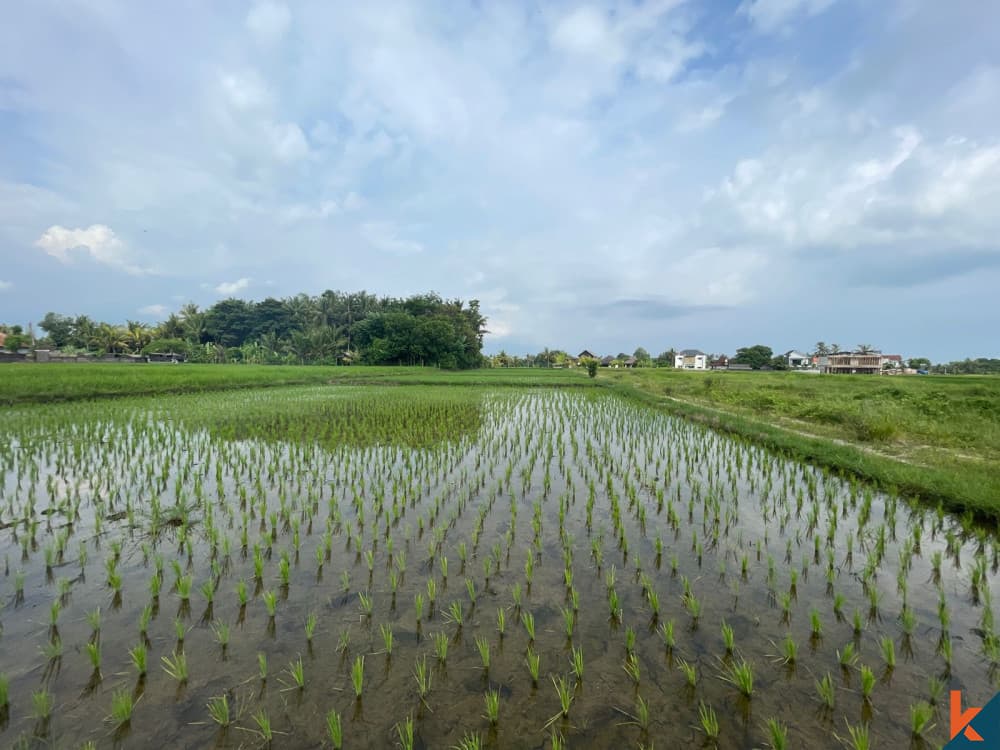 2500 m² Land Plot for Sale Kedungu, Bali, Kedungu — photo 3