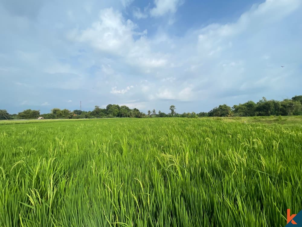 2800 m² Land Plot for Sale Kedungu, Bali, Kedungu