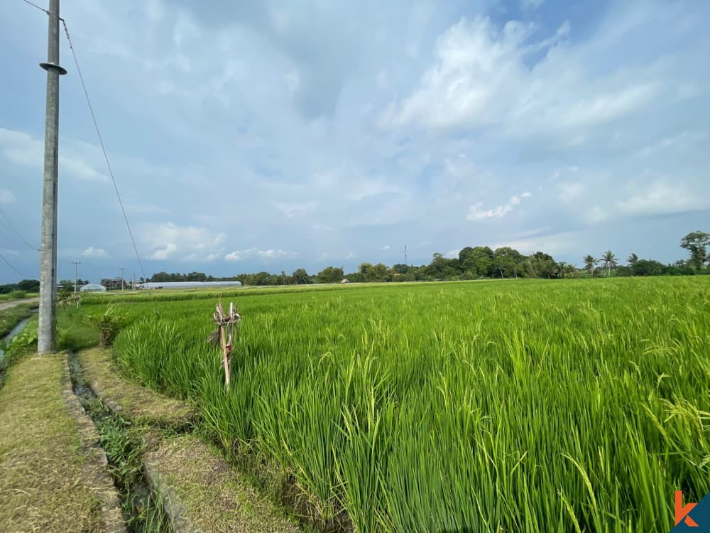 2800 m² Land Plot for Sale Kedungu, Bali, Kedungu — photo 3
