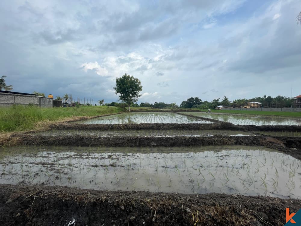3700 m² Land Plot for Sale Tabanan, Bali, Tabanan