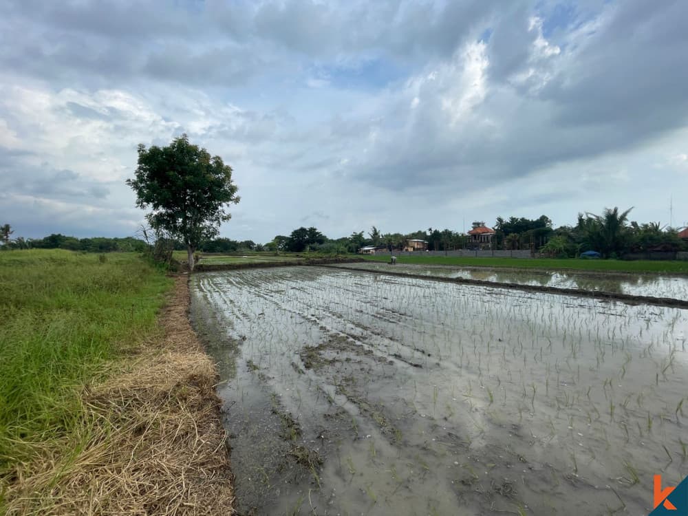 3700 m² Land Plot for Sale Tabanan, Bali, Tabanan — photo 3