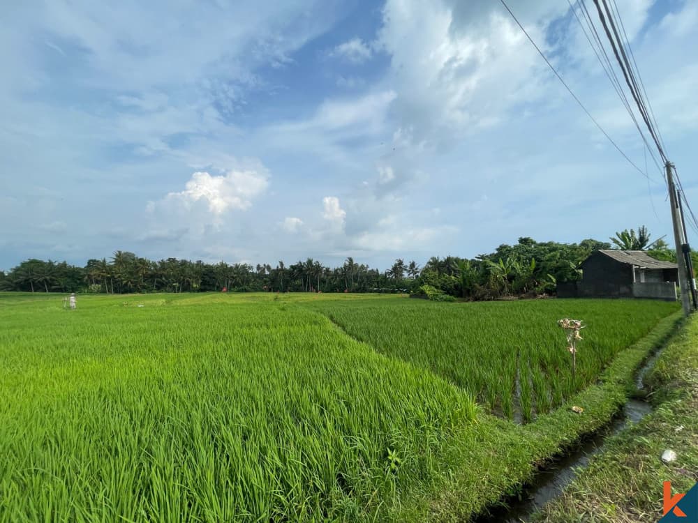 770 m² Land Plot for Sale Kedungu, Bali, Kedungu — photo 3