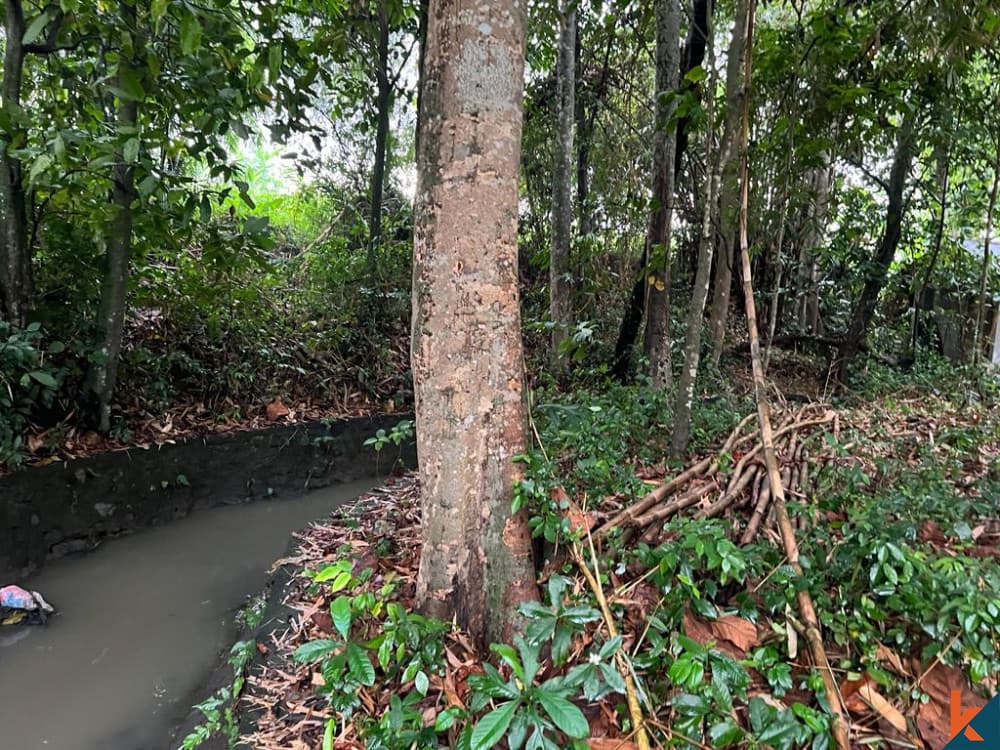 1158 m² Land Plot for Sale Mengwi, Bali, Mengwi — photo 2