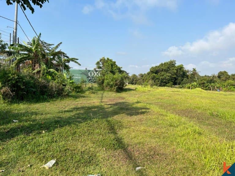 600 m² Land Plot for Sale Mengwi, Bali, Mengwi — photo 3