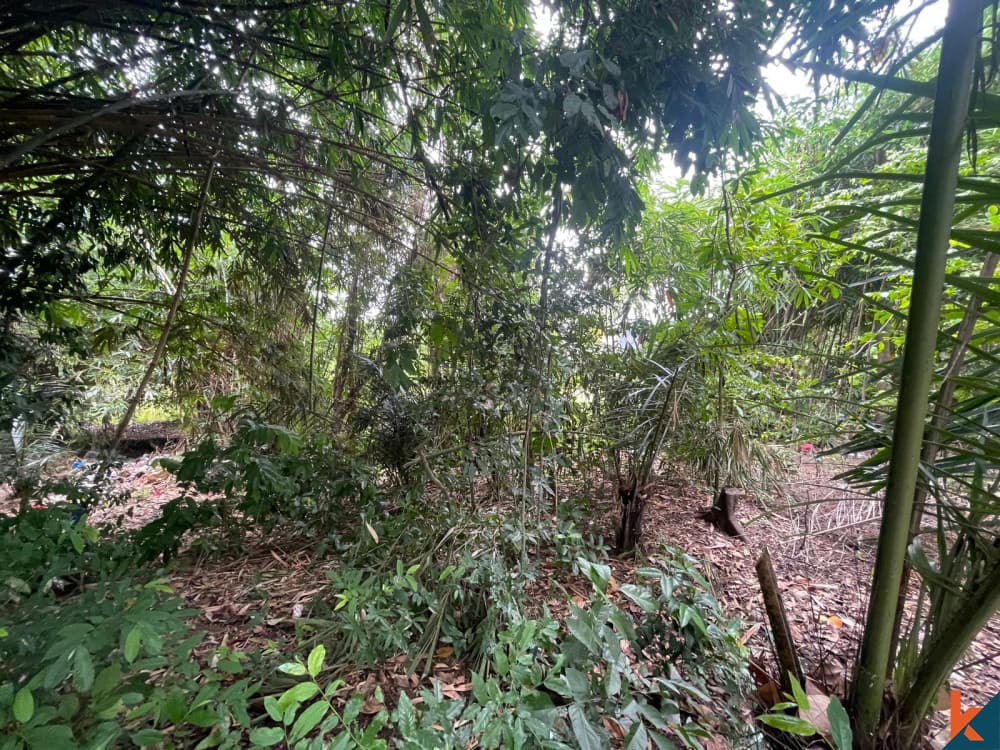 420 m² Land Plot for Sale Tabanan, Bali, Tabanan — photo 3