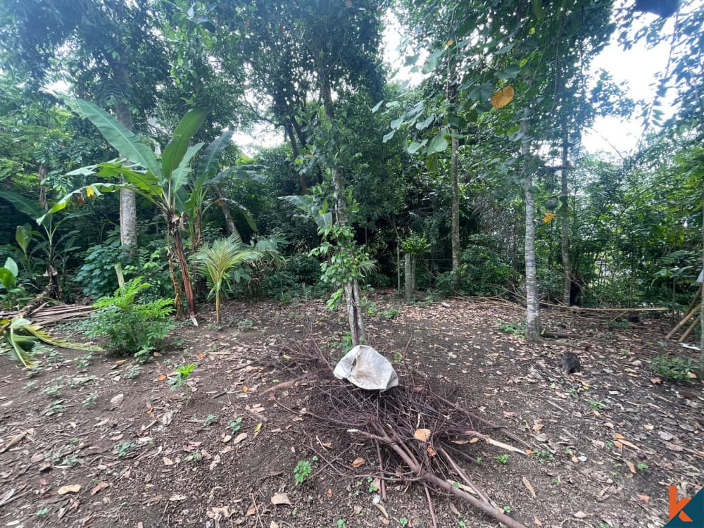 420 m² Land Plot for Sale Tabanan, Bali, Tabanan