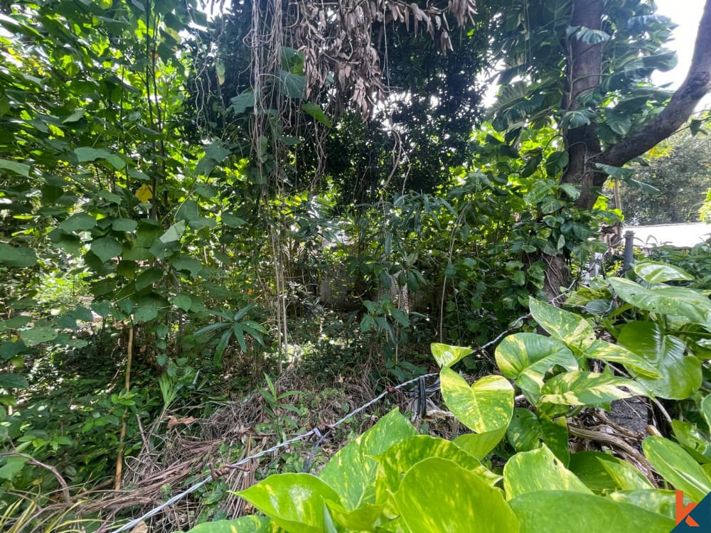 608 m² Land Plot for Sale Seminyak, Bali, Seminyak — photo 3
