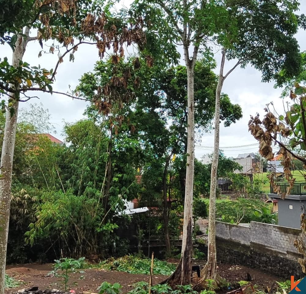 700 m² Land Plot for Sale Canggu, Bali, Canggu — photo 3