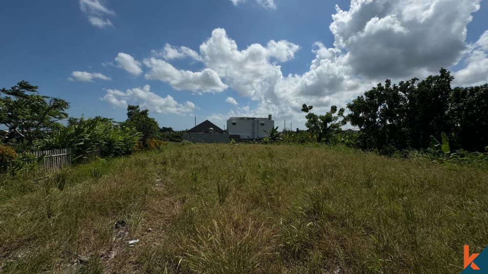 1000 m² Land Plot for Sale Canggu, Bali, Canggu — photo 3