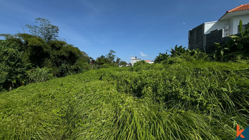 2200 m² Land Plot for Sale Canggu, Bali, Canggu