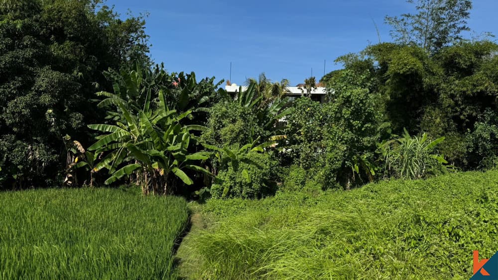 2200 m² Land Plot for Sale Canggu, Bali, Canggu — photo 3
