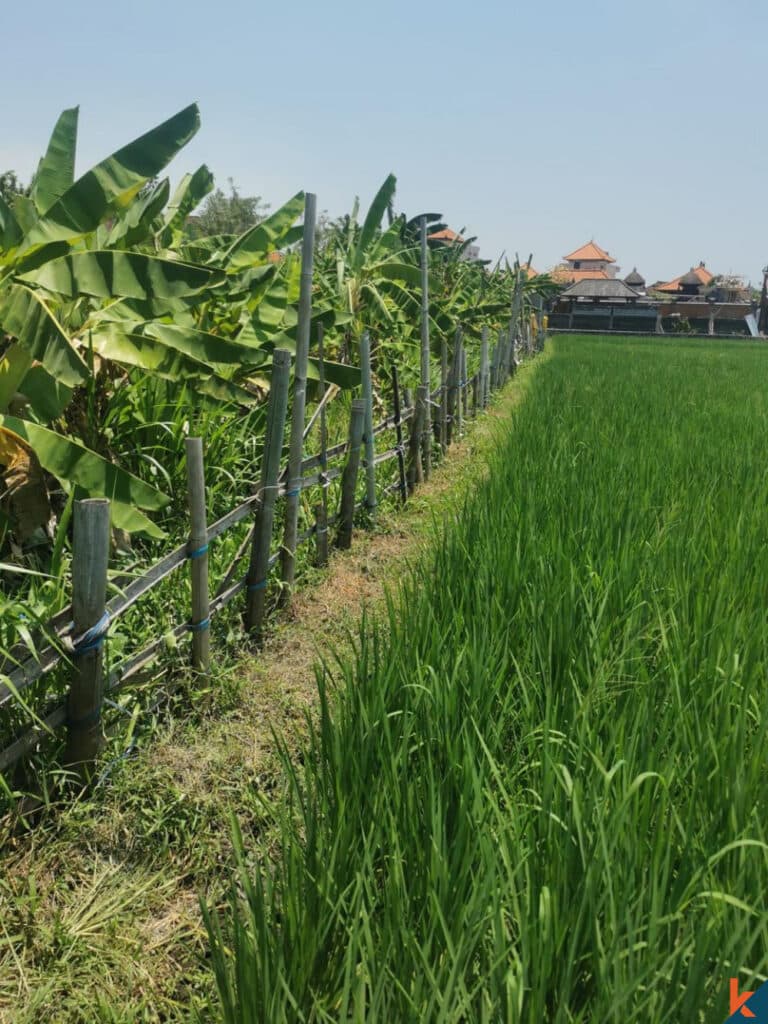 610 m² Land Plot for Sale Seminyak, Bali, Seminyak — photo 3