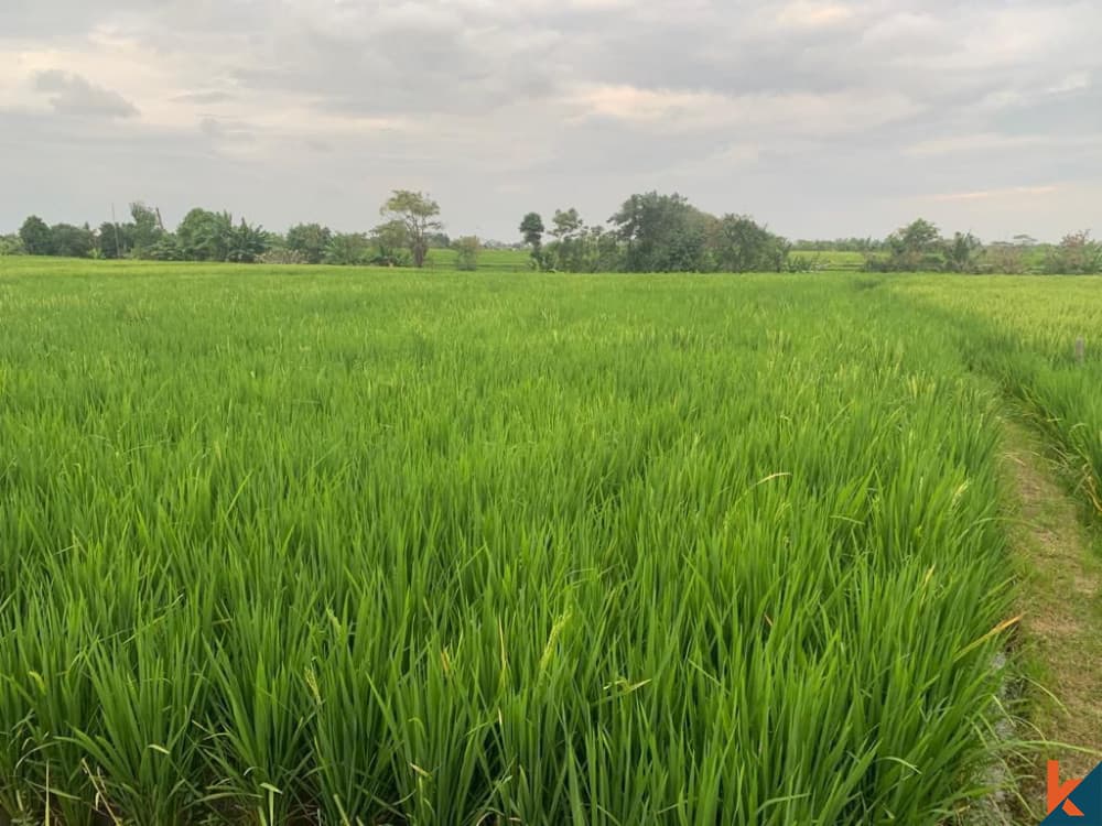800 m² Land Plot for Sale Seseh, Bali, Seseh