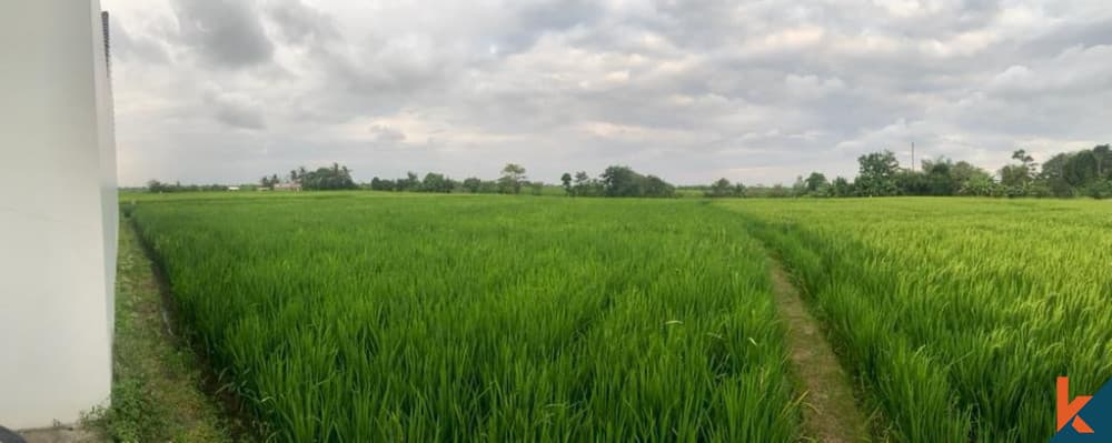 800 m² Land Plot for Sale Seseh, Bali, Seseh — photo 3