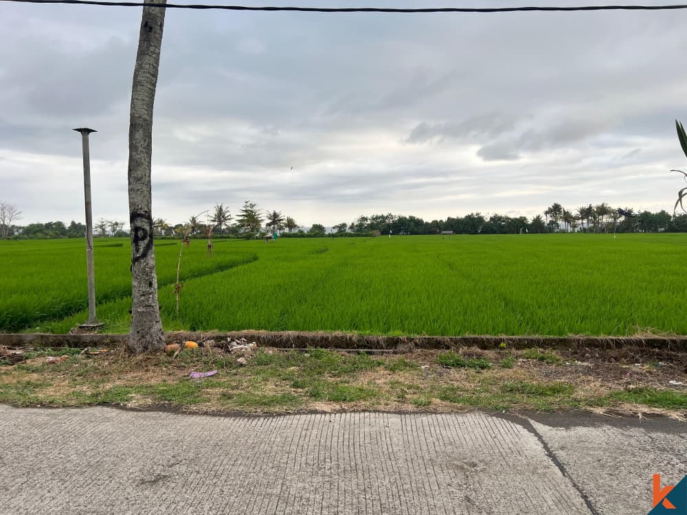 13000 m² Land Plot for Sale Pekutatan, Bali, Pekutatan