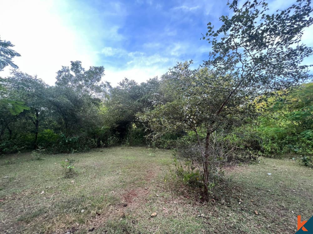 800 m² Land Plot for Sale Ungasan, Bali, Ungasan — photo 3
