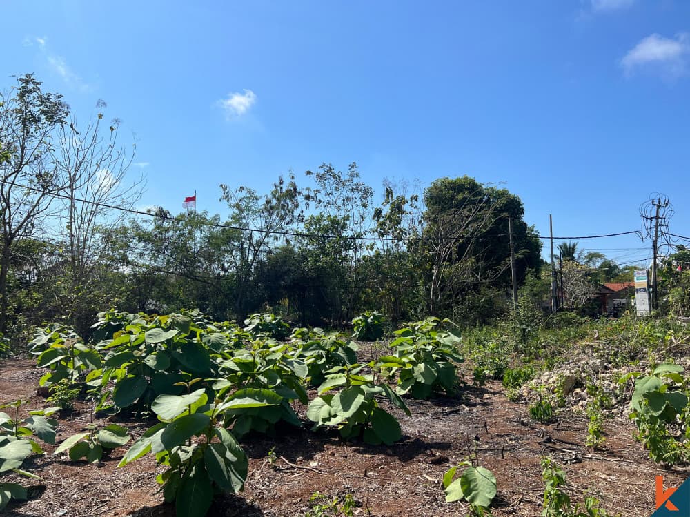 1100 m² Land Plot for Sale Ungasan, Bali, Ungasan