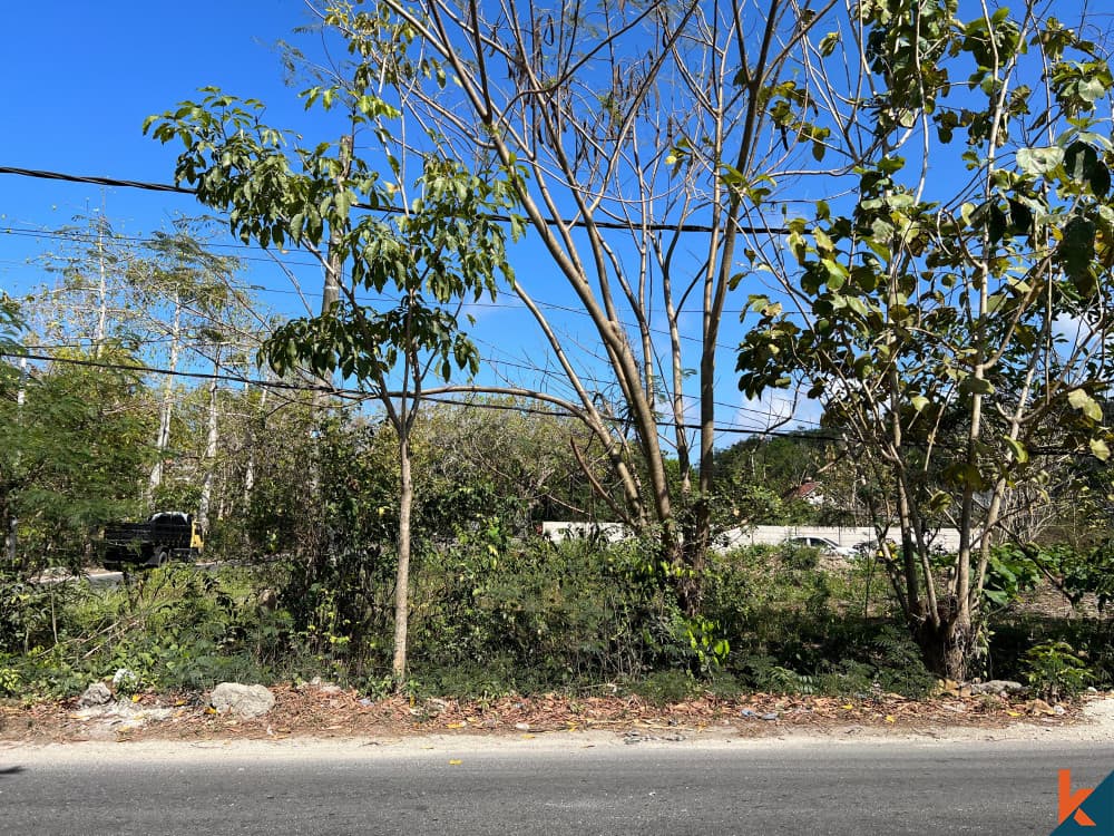 1100 m² Land Plot for Sale Ungasan, Bali, Ungasan — photo 3
