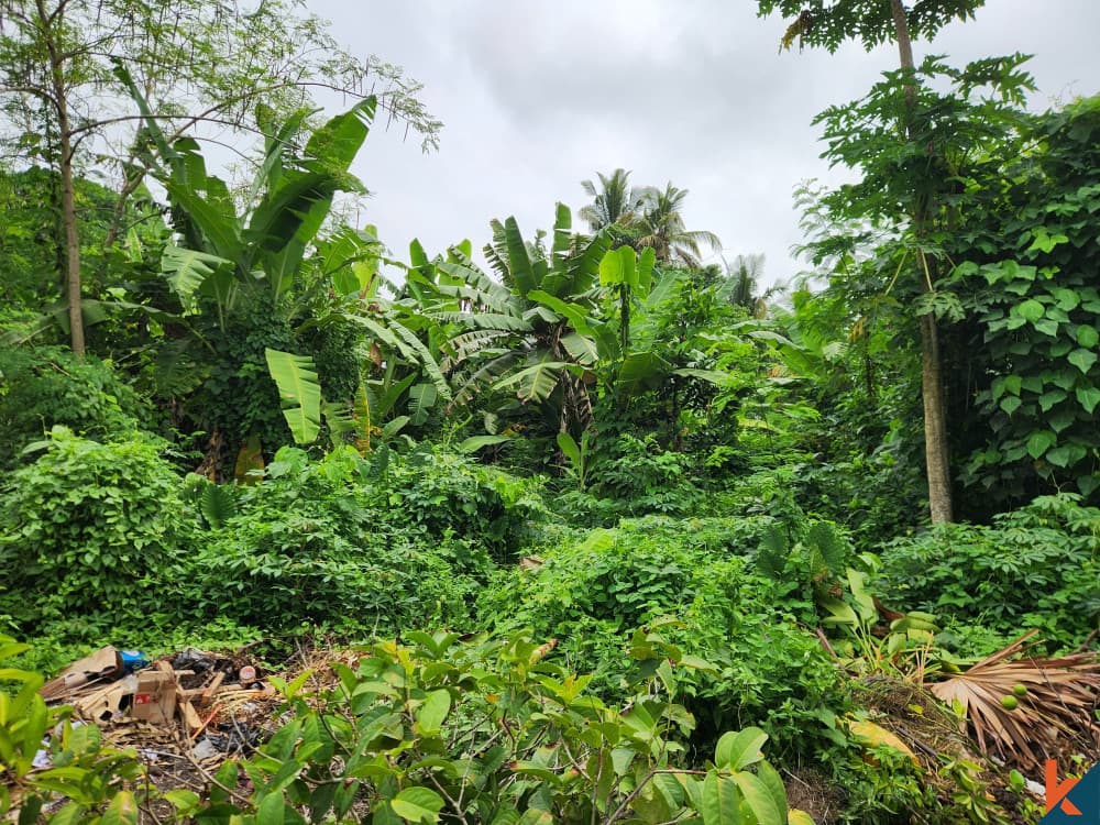 585 m² Land Plot for Sale Mengwi, Bali, Mengwi