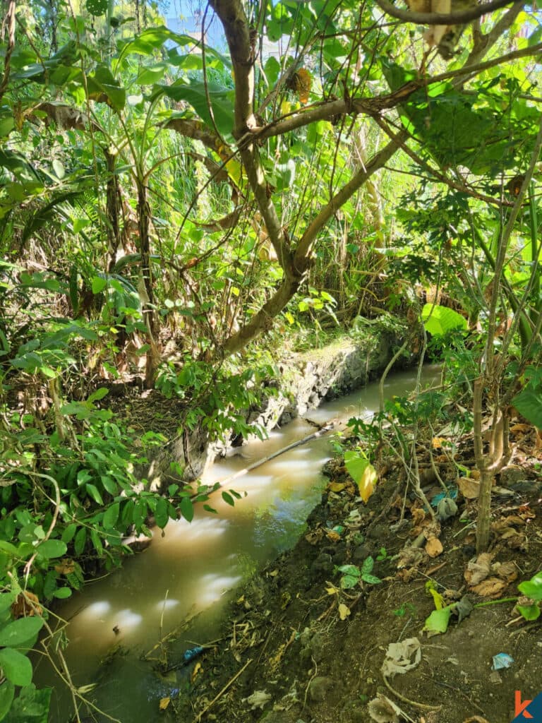 585 m² Land Plot for Sale Mengwi, Bali, Mengwi — photo 3