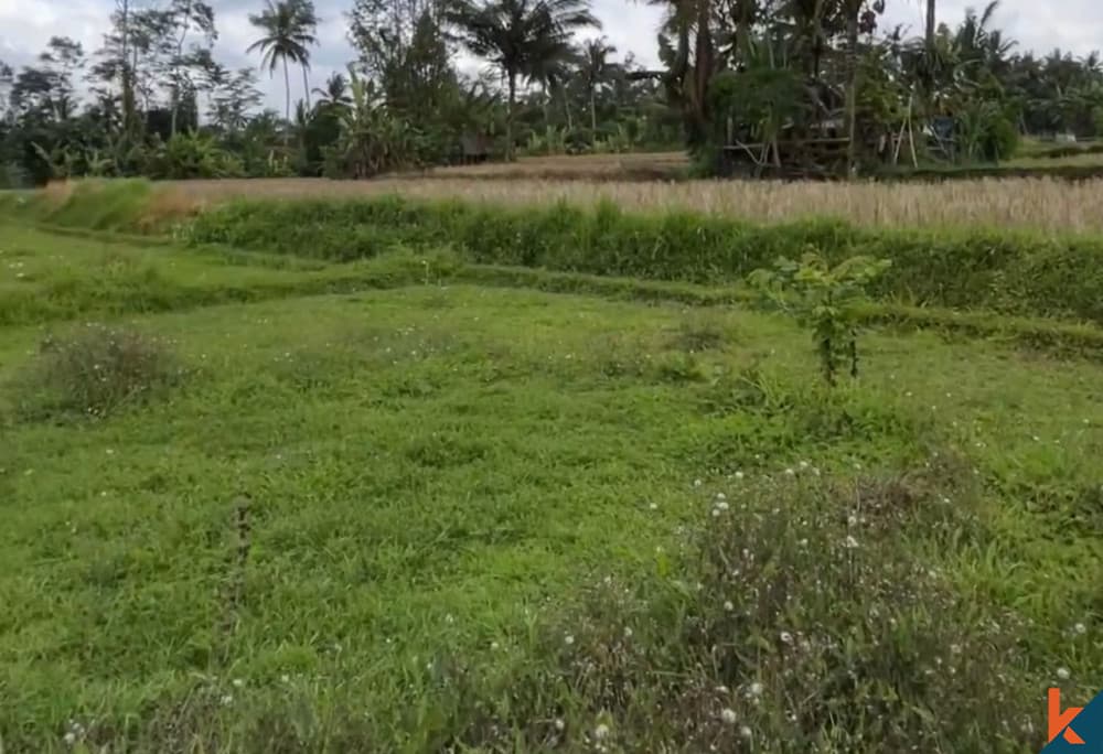 3100 m² Land Plot for Sale Tegallalang, Bali, Tegallalang — photo 3