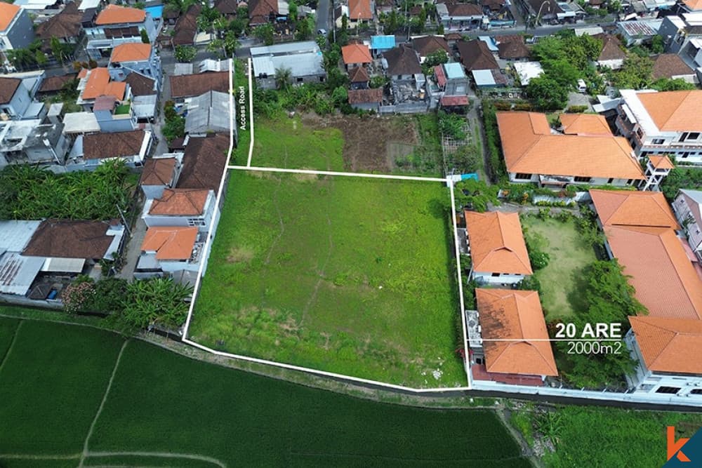 2000 m² Land Plot for Sale Babakan, Bali, Babakan — photo 3