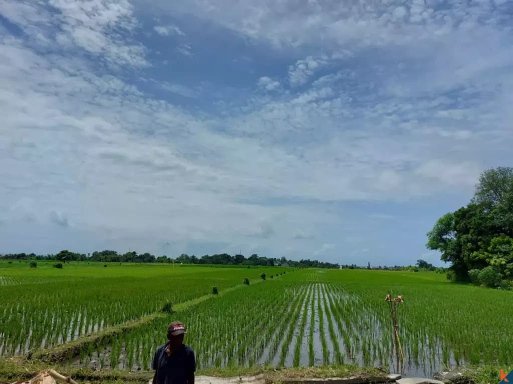 260 m² Land Plot for Sale Kedungu, Bali, Kedungu — photo 2